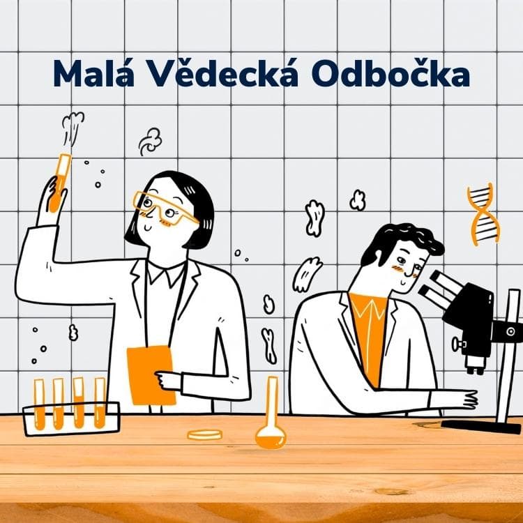 Malá Vědecká Odbočka